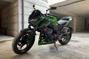 Kawasaki Z300