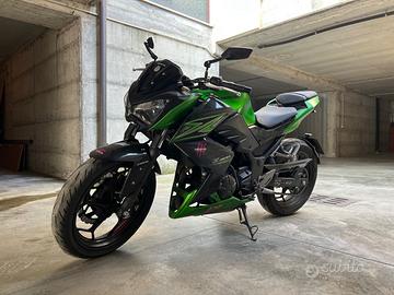 Kawasaki Z300