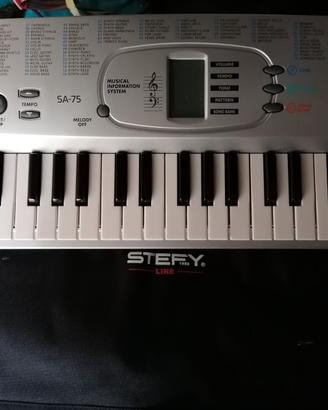 Tastiera Casio 100 TONES