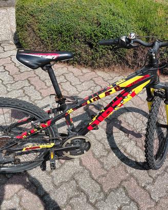 Bici MTB 24" BRERA