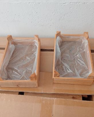 cassettine per semina