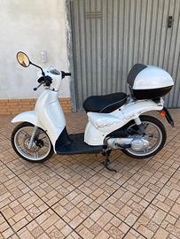 Scarabeo