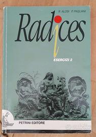 Radjces. Esercizi. Per le Scuole superiori. Vol. 2