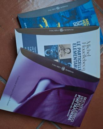 Libri di Houellebecq