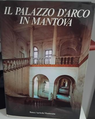STORIA DI MANTOVA E PROVINCIA