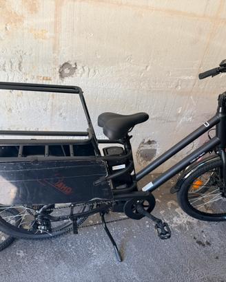 Bici elettrica E-CARGO