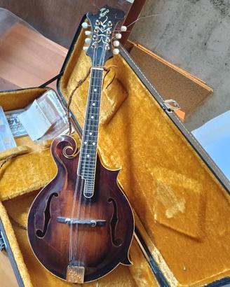Mandolino Morris