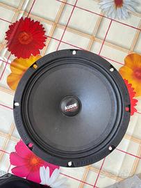 Casse impianto hifi auto