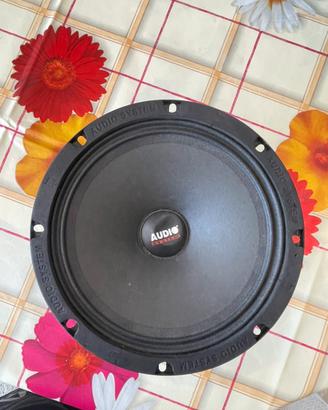 Casse impianto hifi auto