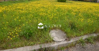 Rif.SW21_5| area edificabile giavera del montello