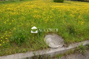 Rif.SW21_5| area edificabile giavera del montello