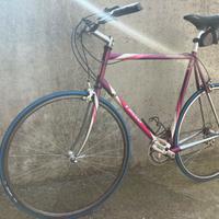 Bicicletta sportiva Moser