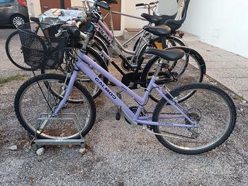 Bicicletta bambina 8-12 anni
