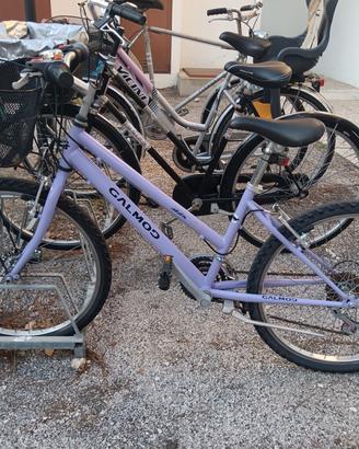 Bicicletta bambina 8-12 anni