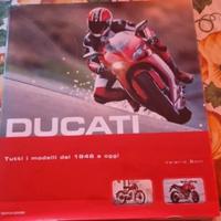 Ducati
Guida da collezione