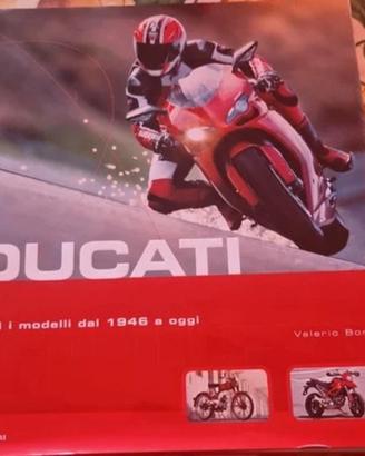 Ducati
Guida da collezione