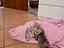 Immagine 1