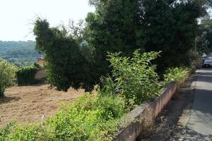 Manufatto Rustico in magazzino di mq. 25