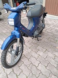 Honda Wallaroo ultimo prezzo