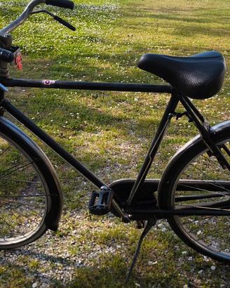 biciclette bacchetta graziella