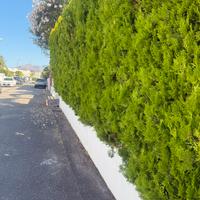 Villetta indipendente