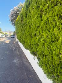 Villetta indipendente