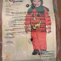 Vestito da zucca