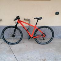 bici MTB 