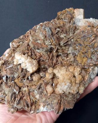 X22 BARITE, CALCITE, ARAGONITE (Sardegna, Italia)