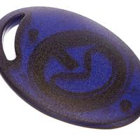 2 Transponder CAME badge rfid