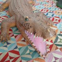 Rettili giocattolo t-rex coccodrilli cobra