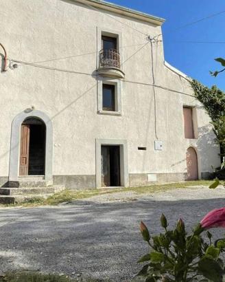Casale