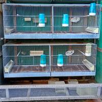 VOLIERE CM. 120X40X40 Professionali