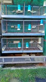 VOLIERE CM. 120X40X40 Professionali