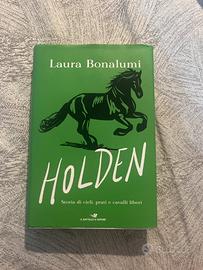Holden - storia di cieli, prati e cavalli liberi