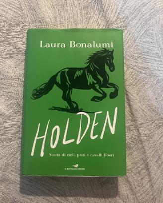 Holden - storia di cieli, prati e cavalli liberi
