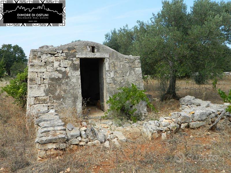 LAMIA in VALLE D'ITRIA CON TERRENO 4000mq - Vista 2