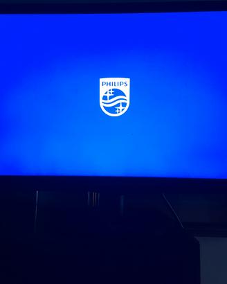 monitor philips 