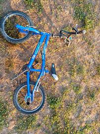 Bicicletta