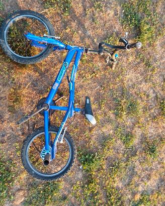 Bicicletta