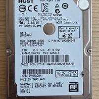Hard Disk HGTS 1Tb - Come nuovo