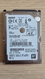 Hard Disk HGTS 1Tb - Come nuovo
