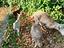 Immagine 3