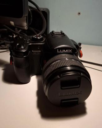 lumix fz30+2 batterie