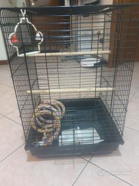 gabbia per uccelli, grande