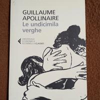 Le undicimila Verghe