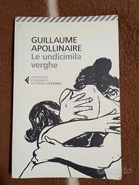 Le undicimila Verghe