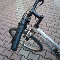 Bicicletta ragazza - cerchio 26