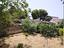 Immagine 25