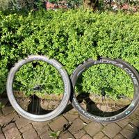 Campagnolo Bora One 50 Tubolare Rim  11V